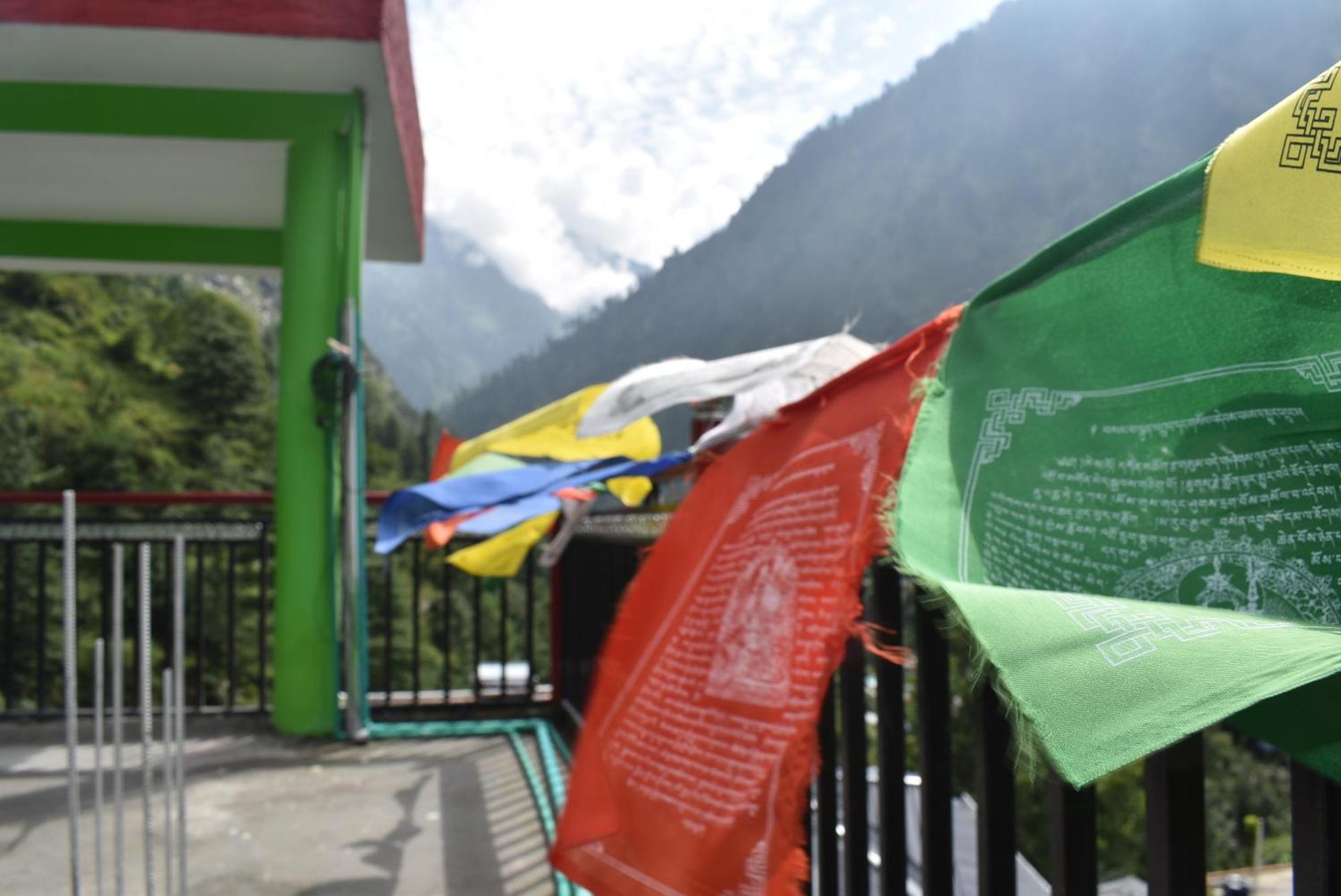 Pahadirovers Homestay & Cafe 卡索尔 外观 照片